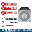 15w小型感应齿轮减速电机