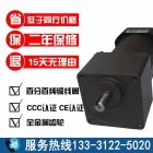 250w小型感应减速电机