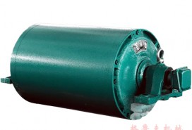 TDY75电动滚筒